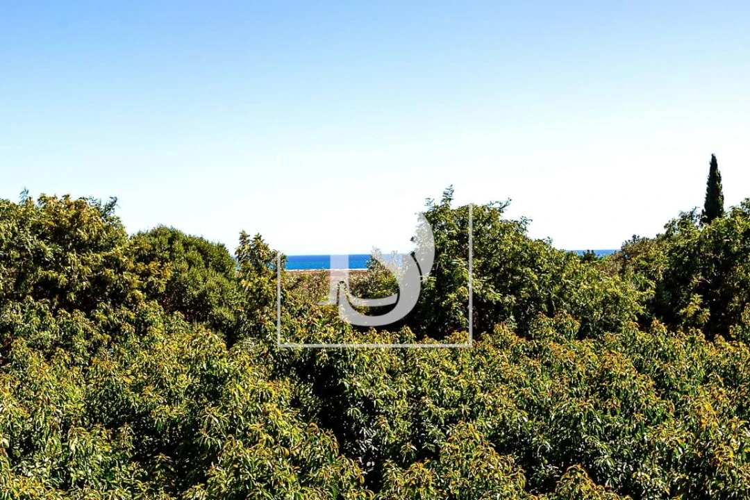 Moradia T3 para Venda em Conceição e Cabanas de Tavira Foto 13