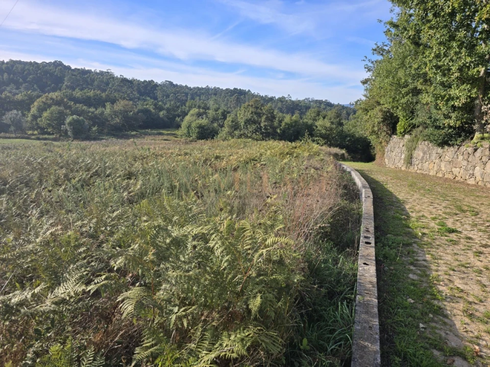 Terreno Agricola ou Rústico para Venda em Cornes Foto 2