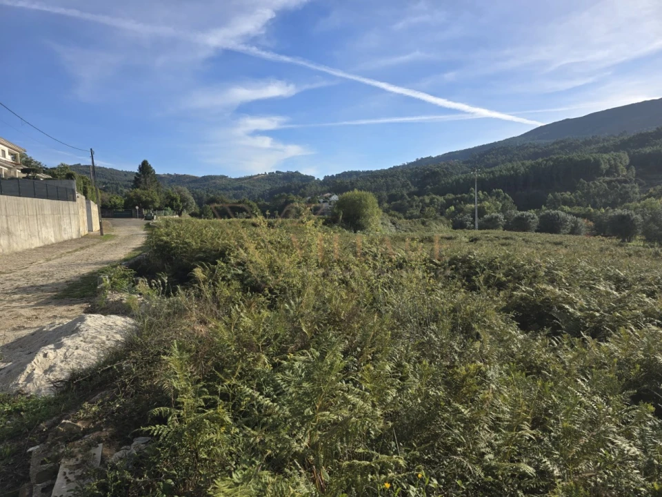Terreno Agricola ou Rústico para Venda em Cornes Foto 4
