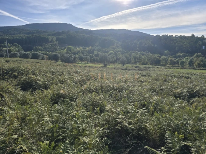 Terreno Agricola ou Rústico para Venda em Cornes Foto 3