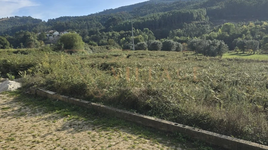 Terreno Agricola ou Rústico para Venda em Cornes