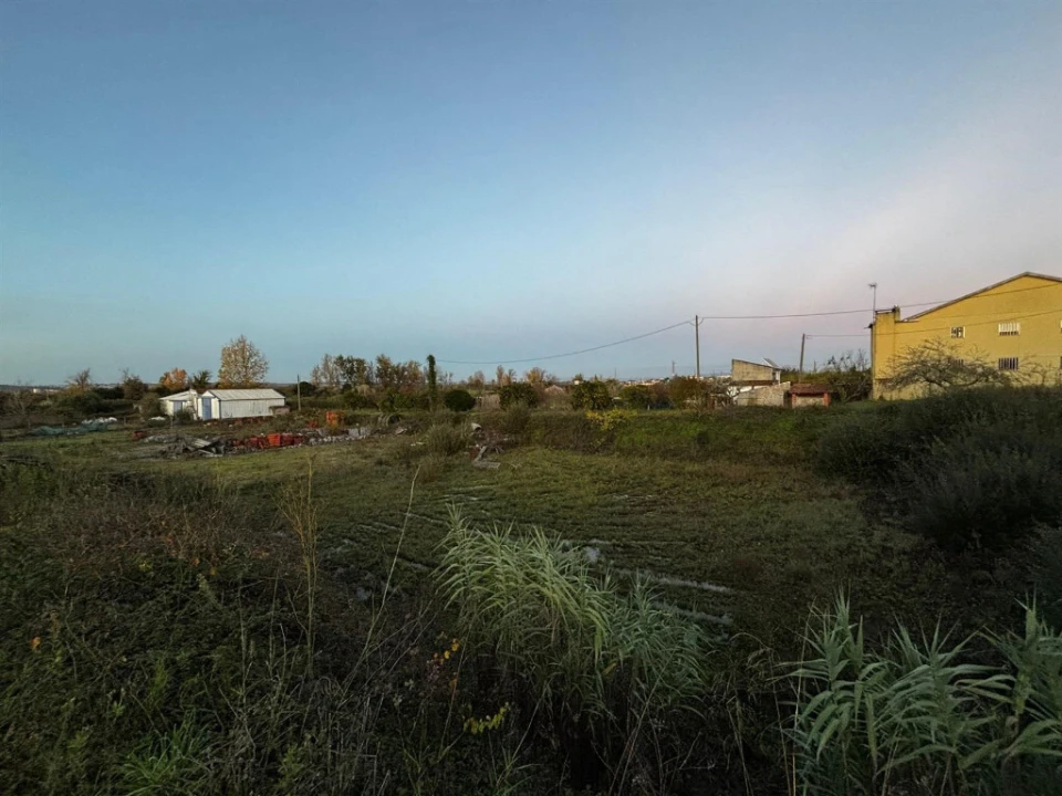 Terreno para Venda em Alfarelos Foto 4