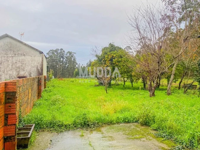 Moradia T3 para Venda em Ovar, São João, Arada e São Vicente de Pereira Jusã Foto 22