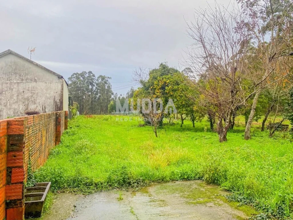 Moradia T3 para Venda em Ovar, São João, Arada e São Vicente de Pereira Jusã Foto 22