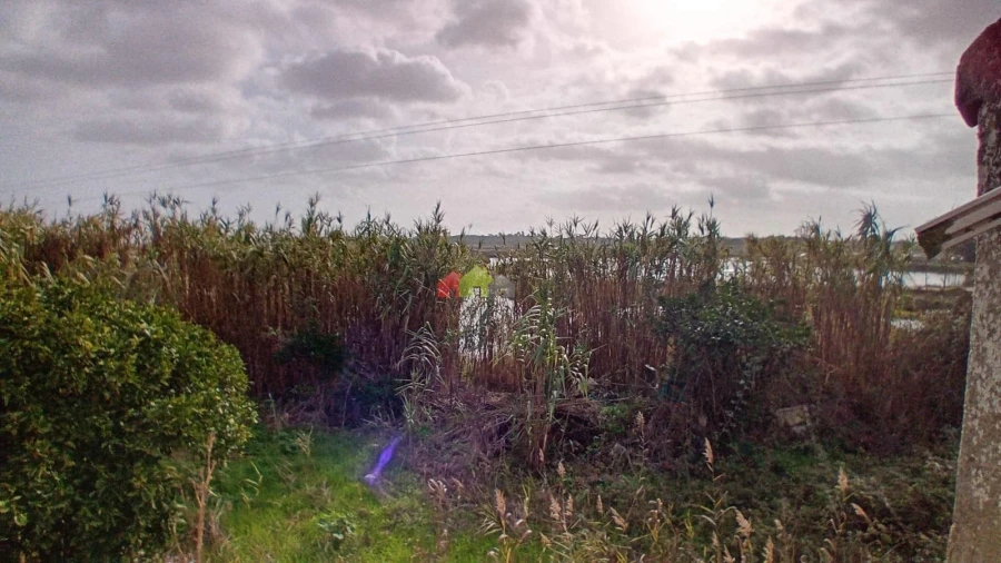 Terreno para Venda em Sado Foto 14