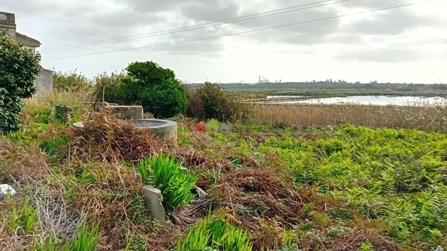 Terreno para Venda em Sado Foto 9