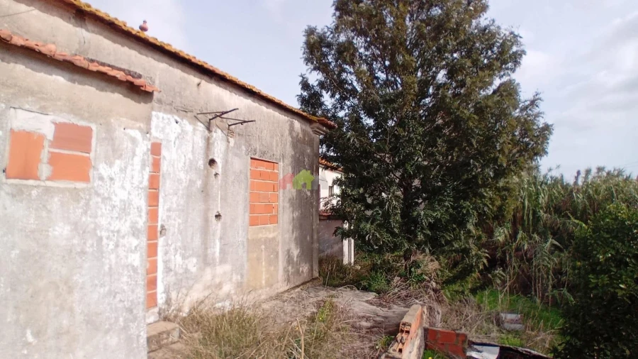 Terreno para Venda em Sado Foto 13