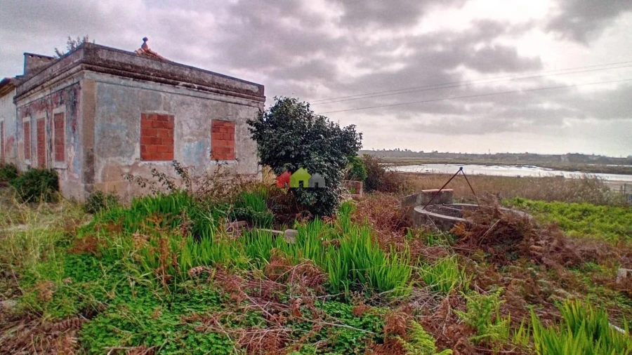 Terreno para Venda em Sado Foto 7