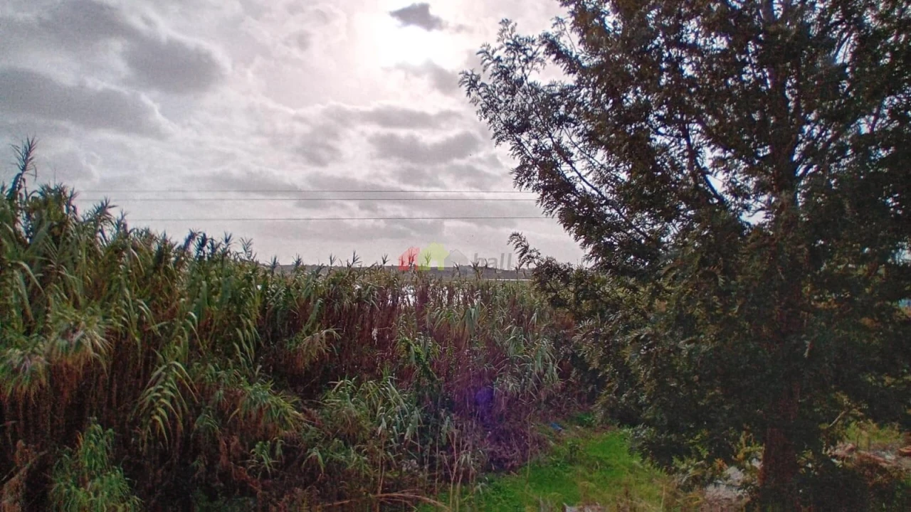 Terreno para Venda em Sado Foto 15