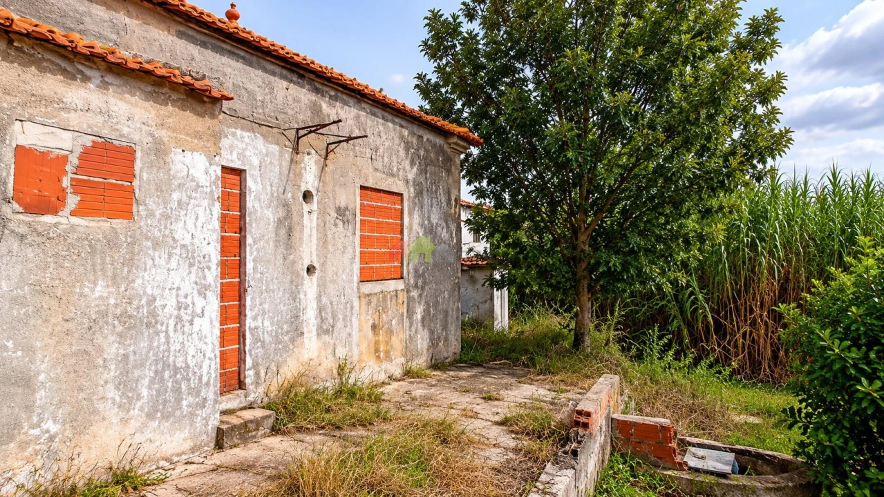 Terreno para Venda em Sado Foto 8