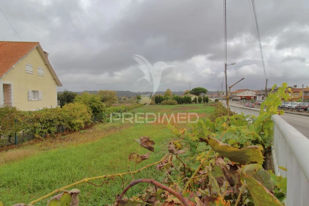 Terreno para Venda em Oiã Foto 4