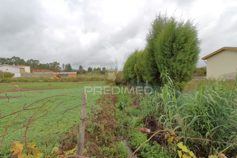 Terreno para Venda em Oiã Foto 6