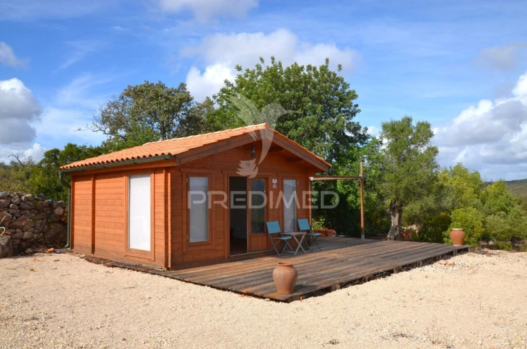 Terreno para Venda em Salir Foto 12