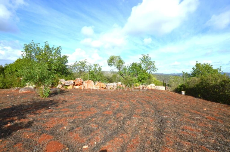 Terreno para Venda em Salir Foto 6