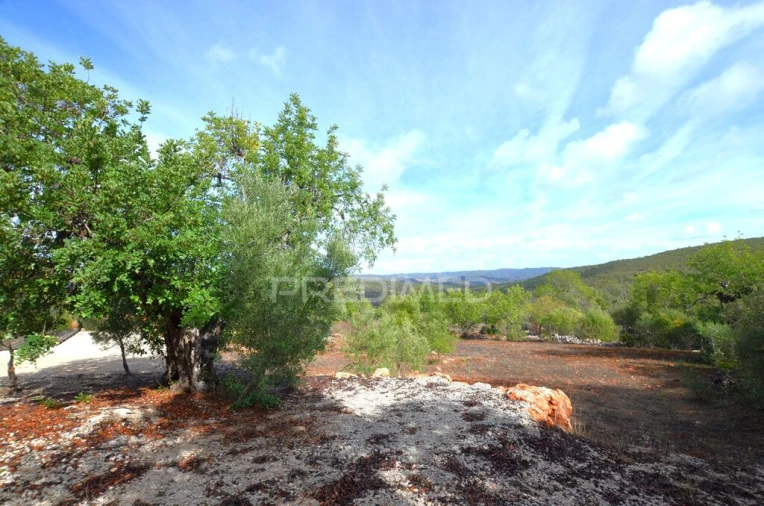 Terreno para Venda em Salir Foto 3