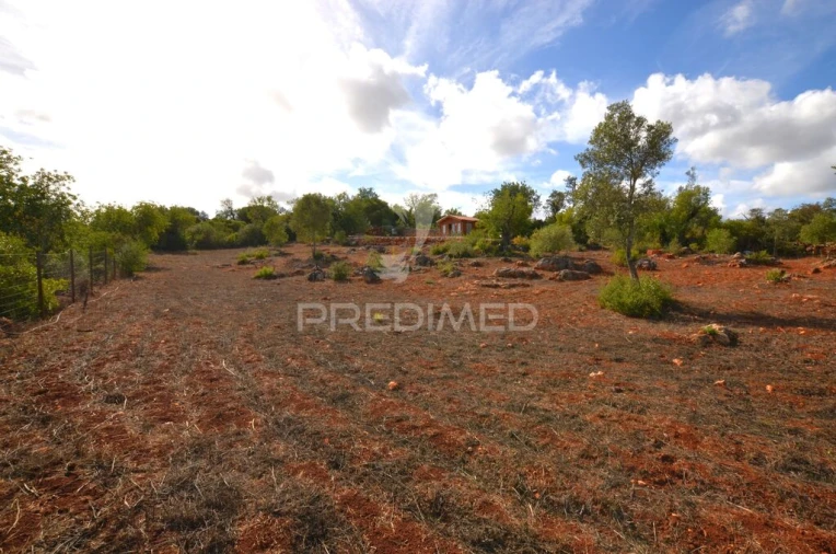 Terreno para Venda em Salir Foto 7