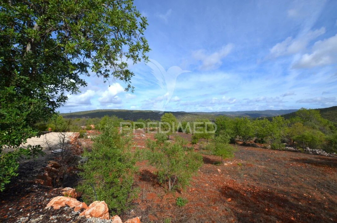 Terreno para Venda em Salir Foto 4