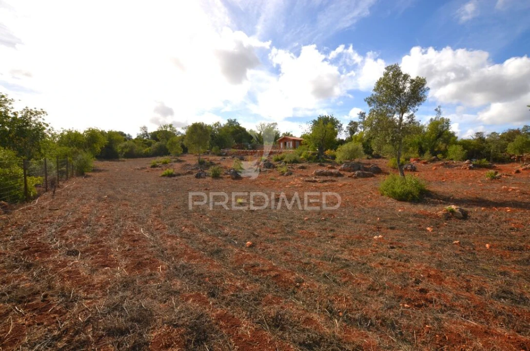 Terreno para Venda em Salir Foto 7