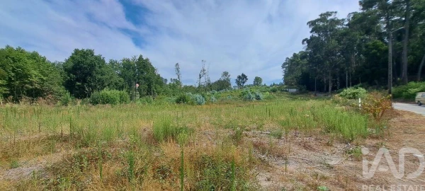Terreno para Venda em Cristelos, Boim e Ordem