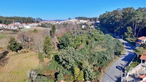 Terreno para Venda em Cristelos, Boim e Ordem