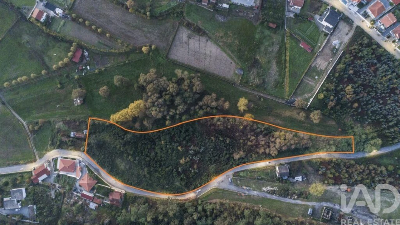 Terreno para Venda em Cristelos, Boim e Ordem Foto 16