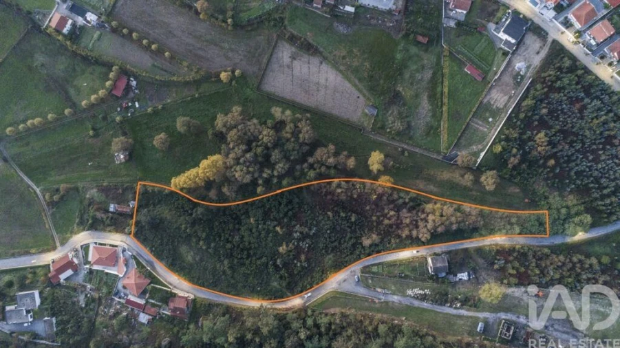 Terreno para Venda em Cristelos, Boim e Ordem Foto 16