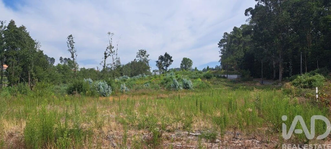 Terreno para Venda em Cristelos, Boim e Ordem Foto 9