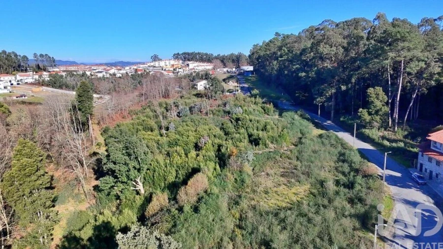 Terreno para Venda em Cristelos, Boim e Ordem Foto 5