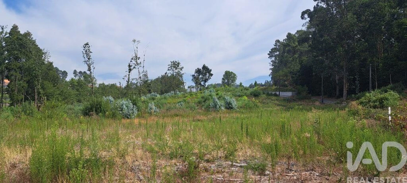 Terreno para Venda em Cristelos, Boim e Ordem Foto 9