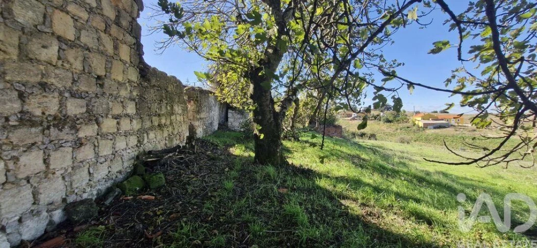 Moradia para Venda em Abitureiras Foto 6