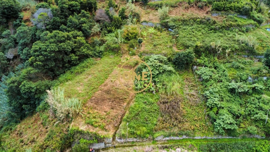 Terreno para Venda em Porto da Cruz Foto 2