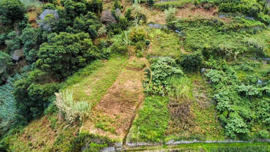 Terreno para Venda em Porto da Cruz Foto 3