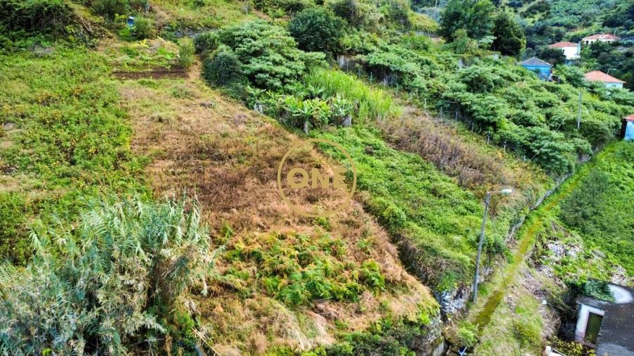Terreno para Venda em Porto da Cruz Foto 4