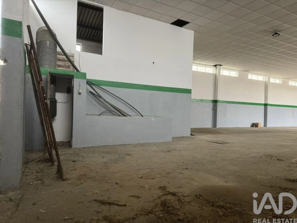 Loja para Venda em Madalena e Beselga Foto 10