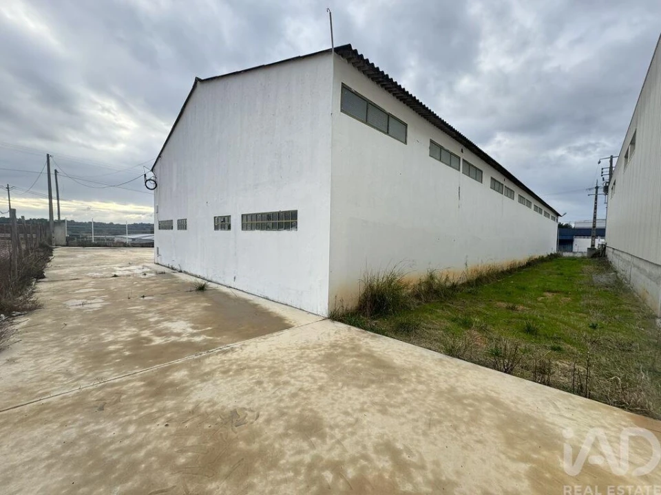 Loja para Venda em Madalena e Beselga Foto 21