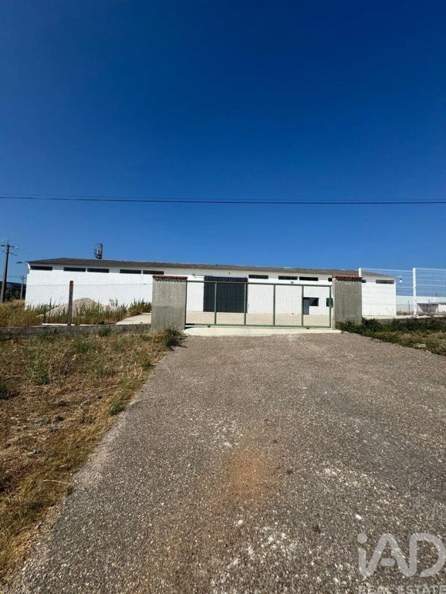 Loja para Venda em Madalena e Beselga Foto 4