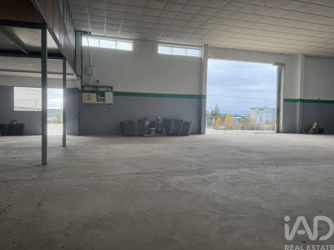 Loja para Venda em Madalena e Beselga Foto 12