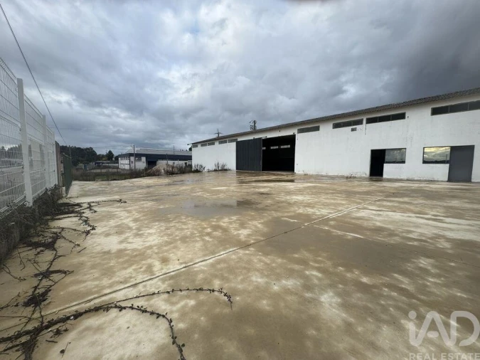 Loja para Venda em Madalena e Beselga Foto 22