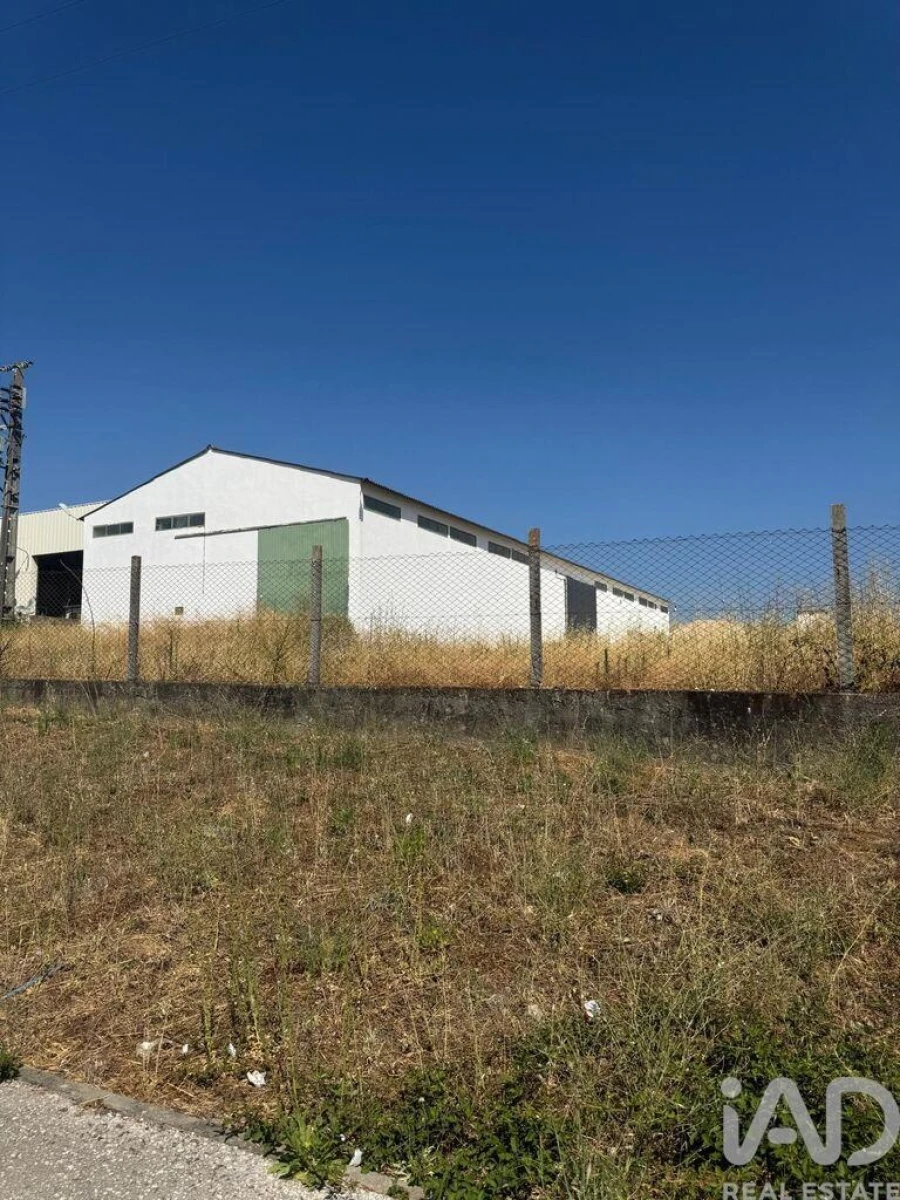 Loja para Venda em Madalena e Beselga Foto 6