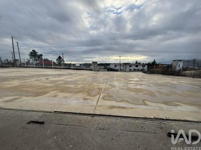 Loja para Venda em Madalena e Beselga Foto 16