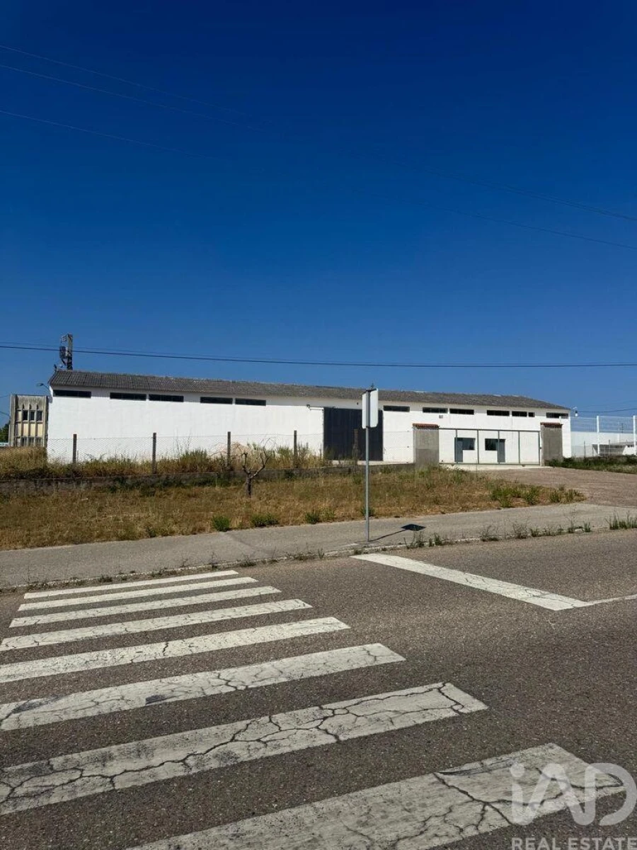 Loja para Venda em Madalena e Beselga Foto 5