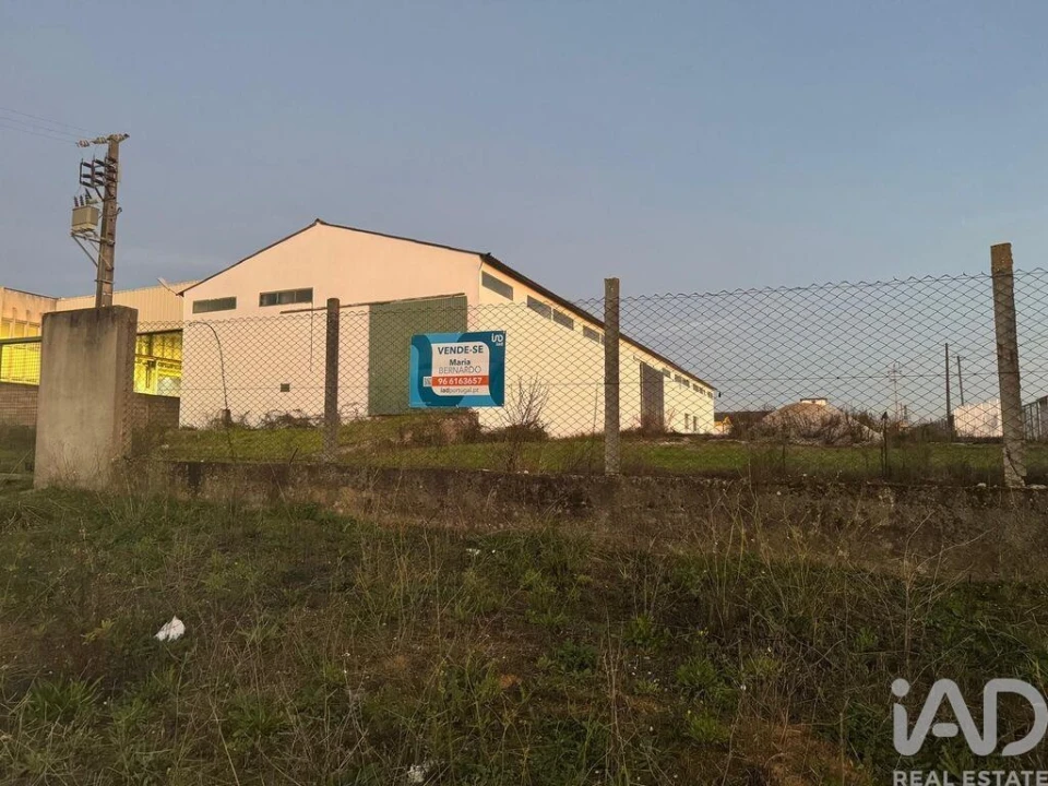 Loja para Venda em Madalena e Beselga Foto 2