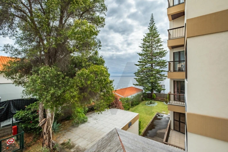 Apartamento T5 para Venda em São Martinho Foto 8