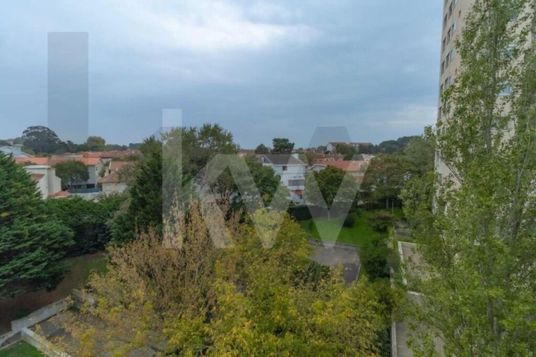 Apartamento T1 para Arrendamento em Aldoar, Foz do Douro e Nevogilde Foto 21