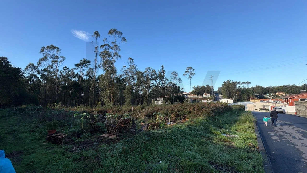 Terreno para Venda em Rio Meão Foto 4