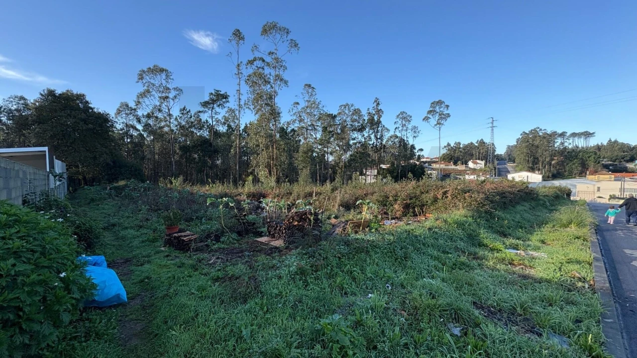 Terreno para Venda em Rio Meão Foto 5
