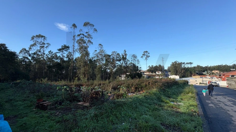 Terreno para Venda em Rio Meão Foto 4