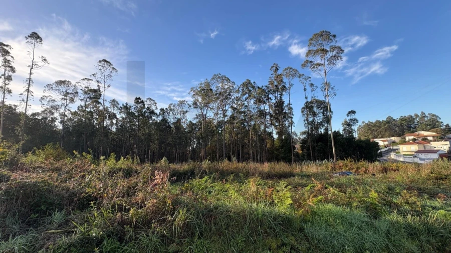 Terreno para Venda em Rio Meão Foto 1
