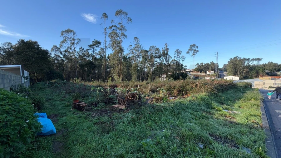 Terreno para Venda em Rio Meão Foto 5