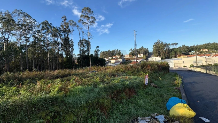 Terreno para Venda em Rio Meão Foto 2
